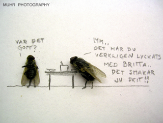 Illustration for article titled The Dead Fly Artwork Of Magnus Muhr